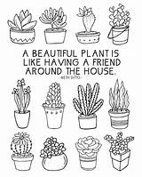 Coloring Pages Plant Cactus Succulents Drawing Succulent Plants House Kindergarten Sheet Sheets Fun Adult Cycle Life Color Printable Doodle Getdrawings sketch template