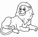 Lions Leone Jumanji Animali Savane Colorier Buzz2000 Gifgratis sketch template