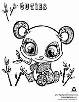 Coloring Pages Cute Animal Super Animals Colouring Panda Baby sketch template