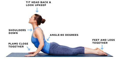 cobra yoga stretch benefits  cobra pose explained easy workouts