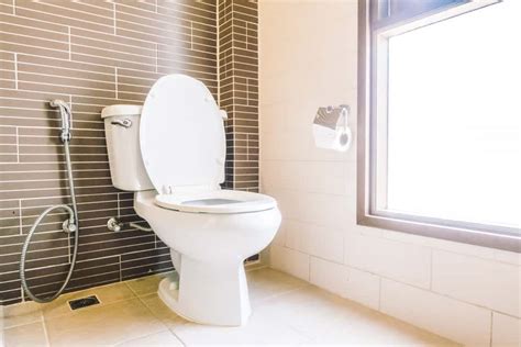 10 best upflush toilets of 2023 macerating toilet reviews