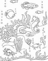 Coloring Sea Bottom Book sketch template