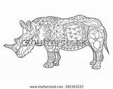 Zentangle Adult Rhinoceros sketch template