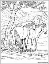 Horse Printable Coloringpagesonly Colouring Getdrawings sketch template