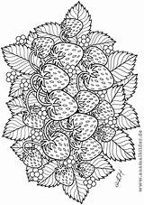 Erdbeeren Mandalas Ausmalen sketch template