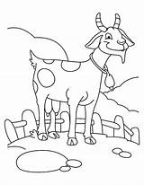 Goat Coloring Pages Farm Farming Boer Goats Colorluna Color Colorir Para Animals Printable Colouring Fresh Billy Drawing Luna Getcolorings Animal sketch template