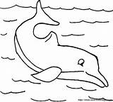 Delfin Colorat Delfini Delphine Ausmalen Dauphin Desene Nage Delfine Delfines Delfino Rios Fisa Malvorlage Planse Hase Zwei Paginas Delphinidae Delfín sketch template