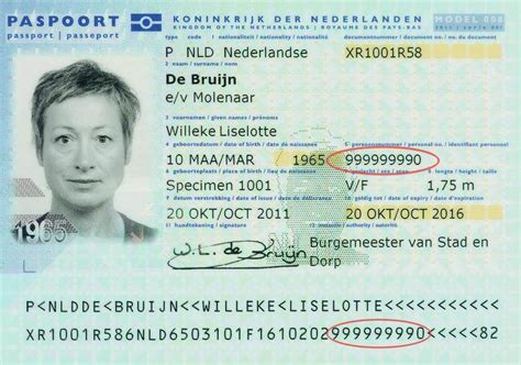 waar vind ik mijn burgerservicenummer op een nederlands paspoort nederlandwereldwijd