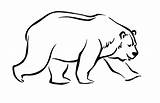 Bear Coloring Color Pages Print Animals Animal Sheet Printable Back Popular sketch template