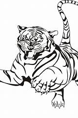 Coloring Tiger Pages Bengal Popular sketch template