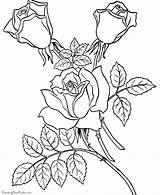 Coloring Pages Roses Sheets Valentine Printable Valentines Print Printing Help sketch template