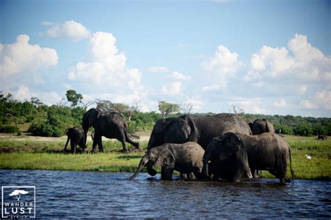 50 Interesting Facts About Botswana Wanderlust Africa