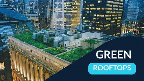 green rooftop   latest benefits   palm beach roofing