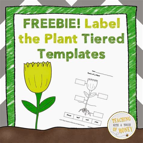classroom freebies  freebie label  plant tiered templates