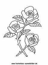 Rosen Ausmalen Ausmalbild Kostenlose Zeichnen Kostenlosen Blumenmalerei Kurse Leinwand sketch template