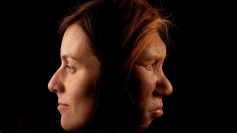scientists finally solve mystery   europeans   neanderthal