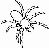 Spiders Hulk Tarantula Spide Bestcoloringpagesforkids Via Netart sketch template