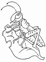 Sprinkhaan Heuschrecke Kleurplaat Heuschrecken Malvorlage Grasshopper Sprinkhanen Grasshoppers Stimmen sketch template