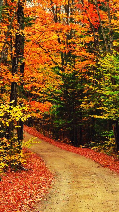 iPhone 6 Fall Wallpaper - WallpaperSafari