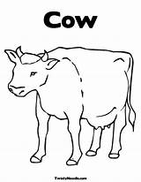 Pages Coloring Heifer Colouring Cow Printable sketch template
