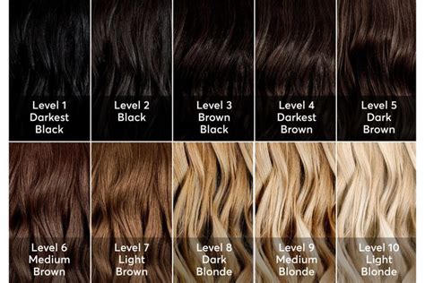 hair color levels  complete guide   blonde hair color chart brown hair color chart