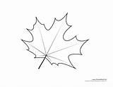 Leaf Maple Outline Template Drawing Templates Canadian Coloring Kids Color Pages Sketch Leaves Printable Printables Timvandevall Paintingvalley Kleuren Bladzijden Boek sketch template