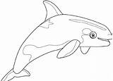 Whale Coloring Pages Kids Killer Printable sketch template