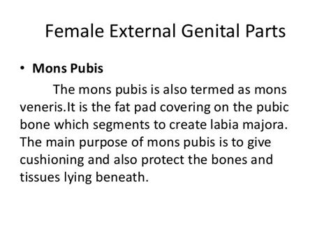 External Genitalia Parts