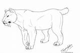 Coloring Tiger Saber Pages Tooth Cat Smilodon Template Print Sabertooth Big Toothed Color Deviantart Google Templates Tail Female Sketch Androgynous sketch template