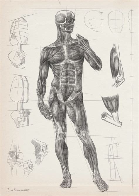 gesture anatomy london fine art studios