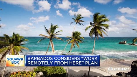 Barbados Considers Allowing Visitors To Work Remotely From The Island