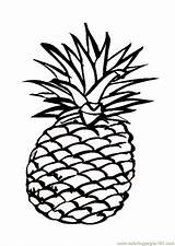 Coloring Pineapples sketch template