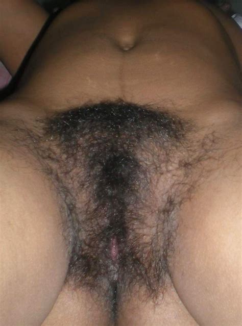 hairy indian pussy 123 pics xhamster