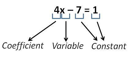 variable definition  exampls teachoo variable