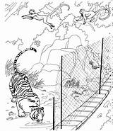 Zoo Coloring Pages Printable Animal Kids sketch template