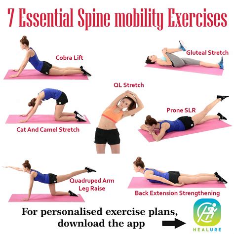 Healure On Twitter 7 Essential Spine Mobility Exercises Spine