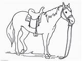 Coloring Pages Seabiscuit Horse Racing Printable Popular sketch template