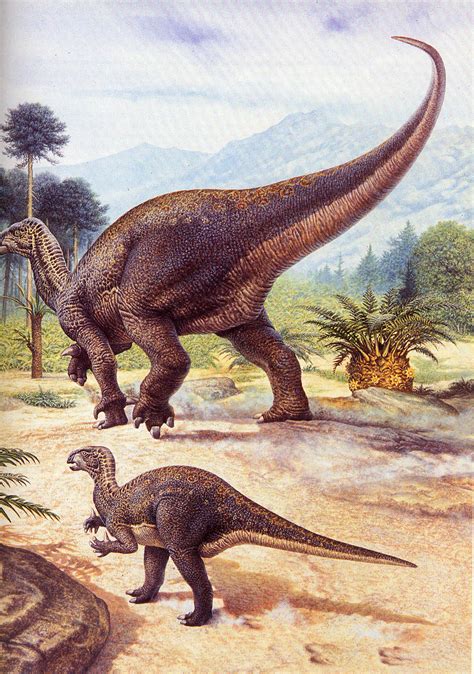 iguanodon junglekeyfr image