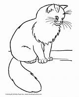 Cat Coloring Pages Kids Printable Print Color Watchful Mouser Honkingdonkey sketch template