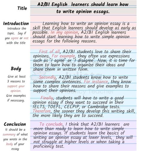 write  opinion essay outline   write  opinion essay