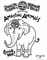 Coloring Circus Ringling Bros Superwoman Barnum Bailey Cliparts Cartoon Pages Kids Elephant Around Down Library Clipart sketch template