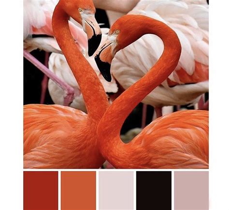 pin by behnaz on tighten colors color palette colour pallete color