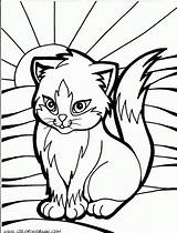Cats Colouring sketch template
