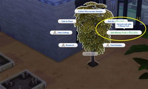 grow money trees   filthy rich   sims