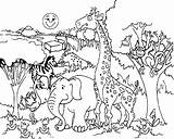 Coloring Pages Animals Savanna Forest Animal Printable Getdrawings sketch template