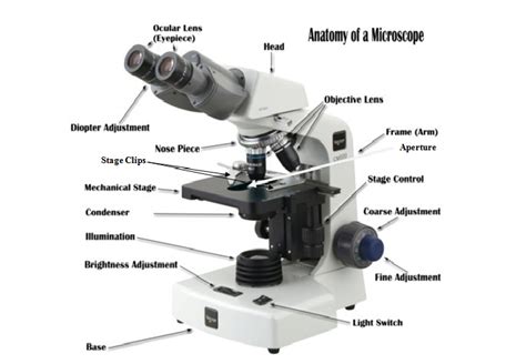 microscope   parts martas blog
