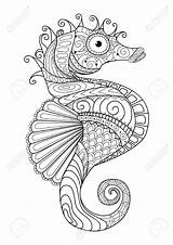 Coloring Pages Seahorse Getdrawings Adults sketch template
