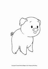 Piglet Colouring Pigs sketch template