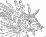 Coloring Lionfish Fish Line Lion Continuous Drawing Pages Template Contour Colouring Rainbow Costume Library Getcolorings Getdrawings Clipart Sketch Outline sketch template