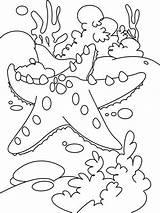 Coloring Coral Reef Starfish Pages Fish Drawing Kids Sea Color Printable Print Easy Star Animal Animals Getdrawings Great Tropical Shells sketch template